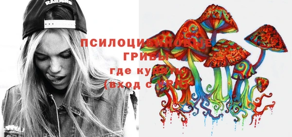 дмт Нефтегорск
